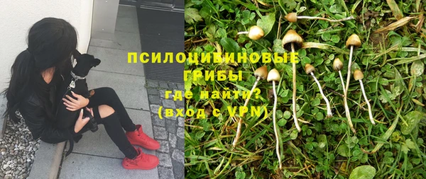 герыч Володарск