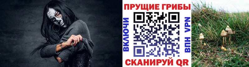 наркотики  Демидов  Галлюциногенные грибы GOLDEN TEACHER 